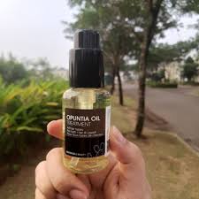 Repair Damaged Hair with Naturica Opuntia Oil