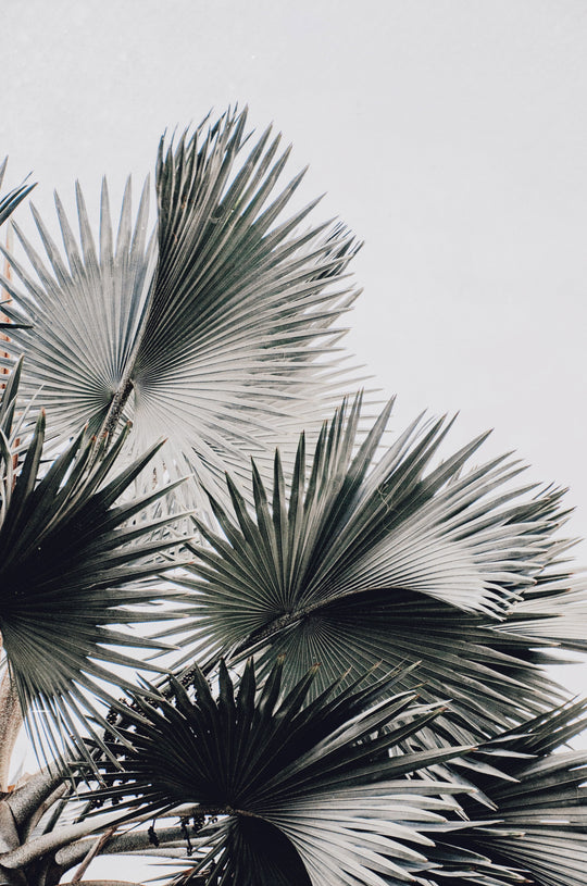 5 façons de prévenir les dommages causés par le chlore et de traiter l'accumulation de chlore dans vos cheveux
