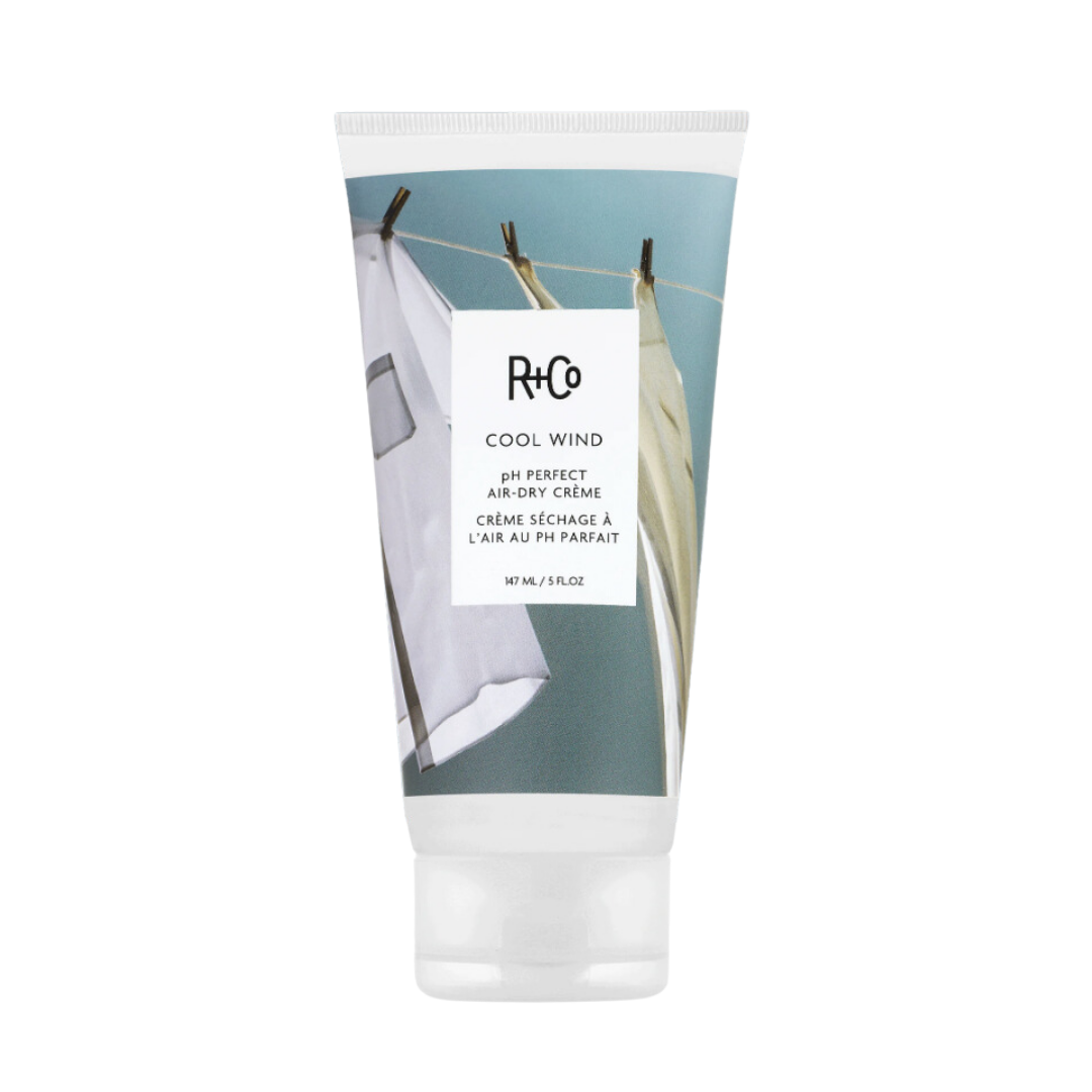 R+Co Cool Wind Air Dry Crème | Frizz Control + Polish for Air-Dried Hair