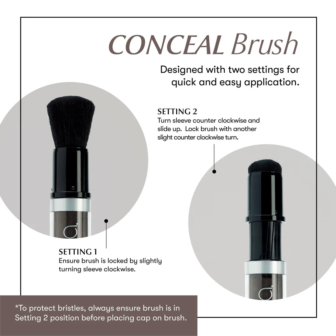Eufora Conceal Root Touch-Up Powder | Temporary Root Coverage in 4 Shades