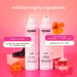 Amika Reset Clarifying Gel Shampoo | Scalp + Build-Up Cleanse at Moda Salon