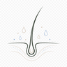 Scalp + Thinning