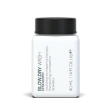 Kevin Murphy Blow Dry Wash | Blowout Prep Shampoo for Frizz Control