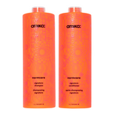 Amika Normcore 1000ml Duo | Signature Shampoo + Conditioner at Moda Salon