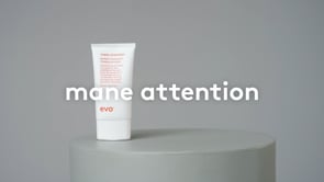 Traitement protéiné Evo Mane Attention 